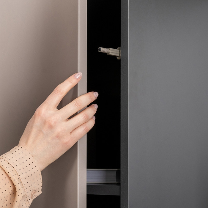 Сидней 13.200 Шкаф 2 штуки, цвет корпус: антрацит/фасады: МДФ веллюто капучино, ШхГхВ 100х41,3х205,2 см., универсальная сборка