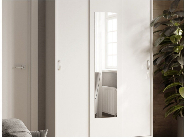 Шкаф-купе Басятэкс белый