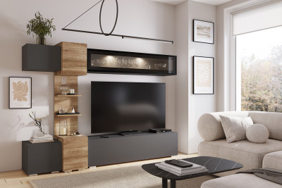 Гостиная "Рейн" ГС-01 графит/дуб каньон