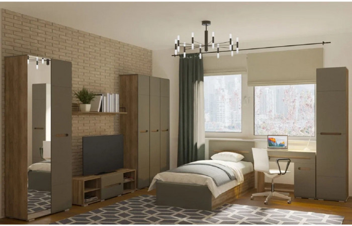 Шкаф Наоми ШК-25, графит