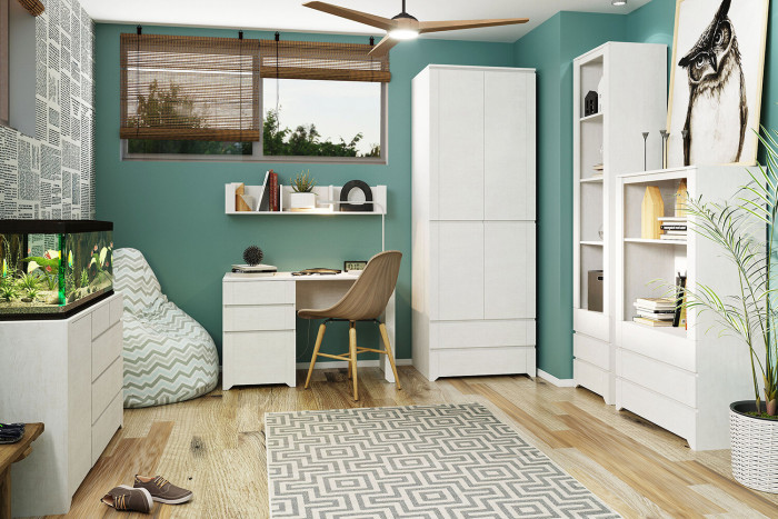 Шкаф для одежды 2-х дверный Твист 01