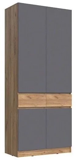 Шкаф 2-х створчатый Артек, Графит/Дуб крафт золотой