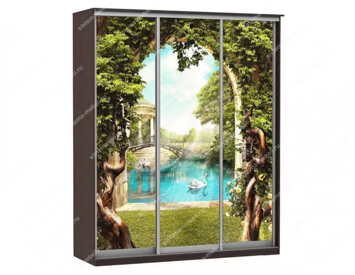 Шкаф купе Модерн 1776х450 3-х дверный 2-х секционный фотопечать №3 венге
