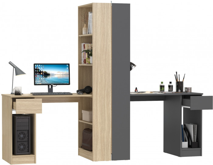 Два Стола письменных Лайт 10.01, цвет плэйн/тёмно-серый, ШхГхВ 230,6х58,2х179 см., универсальная сборка(обязательно крепление к стене)